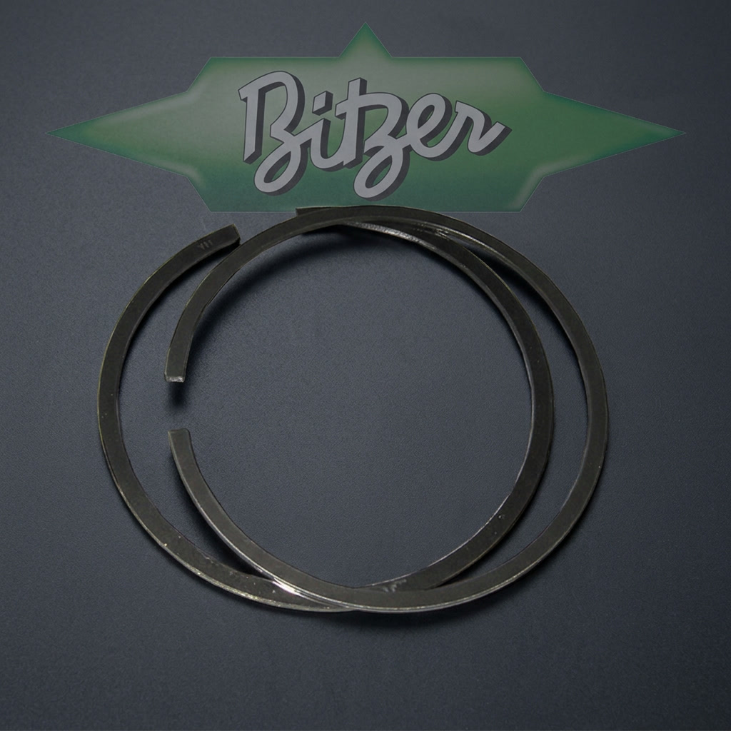 Lote Aros de Piston Bitzer Octagon